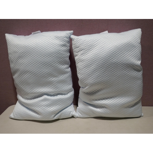 6147 - Two Hotel Grand Reversible Summer/Winter Pillows (336-133) *This lot is subject to Vat