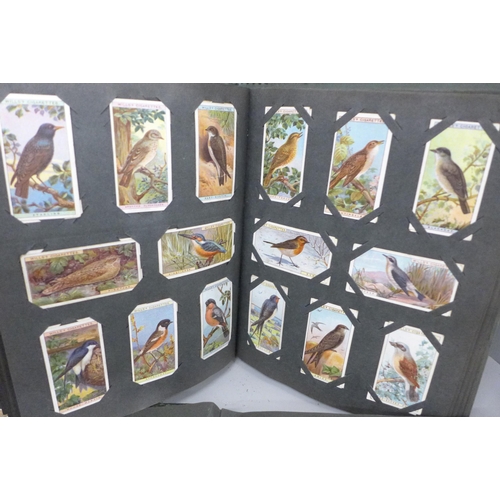 682 - Four albums of cigarette cards