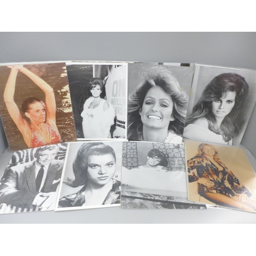 701 - A collection of glamour photographs including Jayne Mansfield, Raquel Welch, etc., (21)