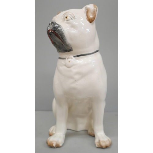 781 - A Staffordshire model of a pug, one foot a/f