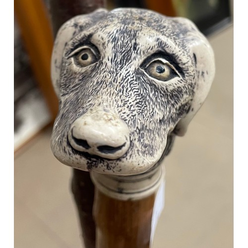 349 - A horn handled walking cane and a carved dogs head handled cane