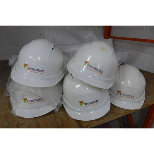 5179 - A box of PPE hard hats and 5 dust proof door shields