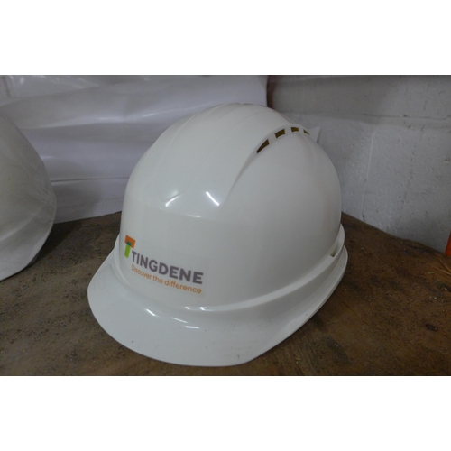 5179 - A box of PPE hard hats and 5 dust proof door shields