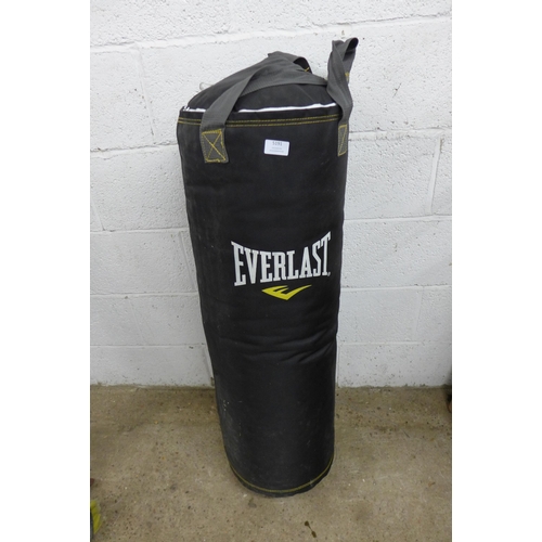 5191 - An Everlast heavy punch bag