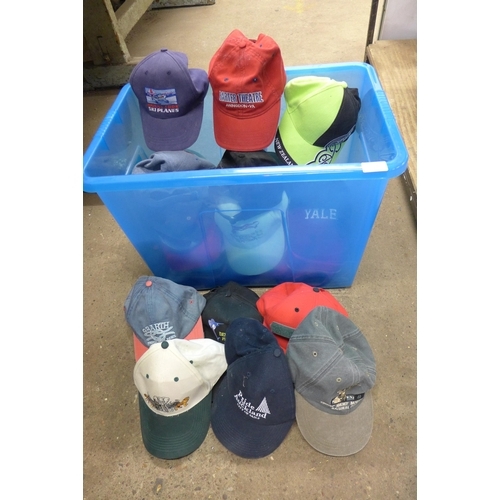 5338 - A collection of assorted baseball caps