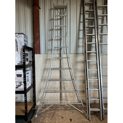 5343 - A Hasegawa 311cm, 10-rung aluminium tripod ladder