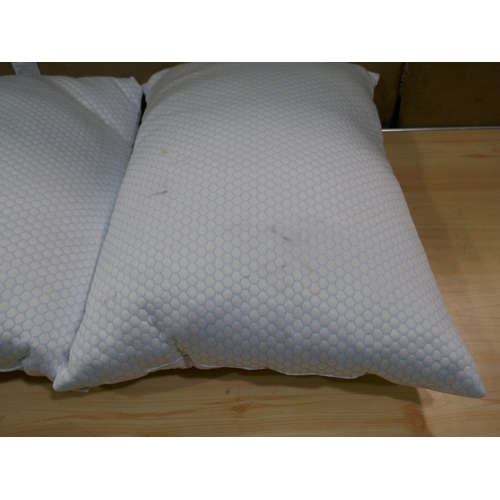 6165 - Two Hotel Grand Reversible Summer/Winter Pillows (337-117) *This lot is subject to Vat