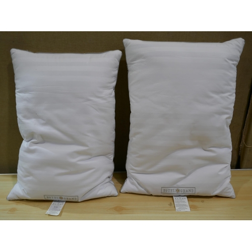 6192 - Two Hotel Grand Jumbo Down Pillows (332-561) *This lot is subject to Vat