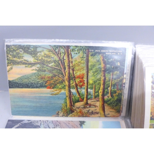 683 - Postcards, lot of 230 linen cards from the USA, depicting various scenes, all in sleeves  - excellen... 