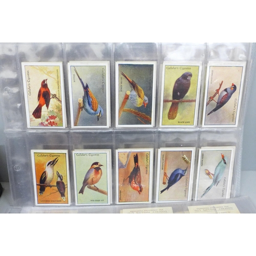 705 - Cigarette card sets and part sets, approximately 75 sets, most it would seem are full sets, plus hun... 