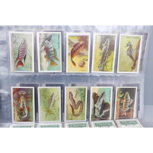 705 - Cigarette card sets and part sets, approximately 75 sets, most it would seem are full sets, plus hun... 