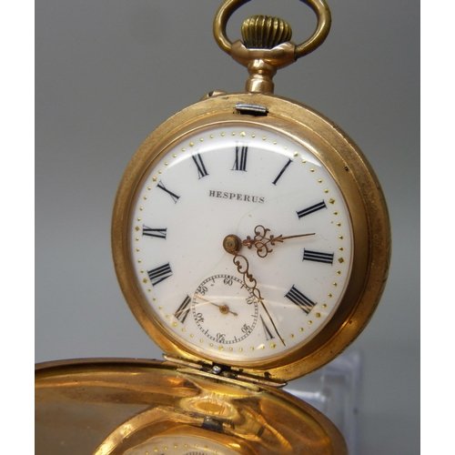 7022 - A 14ct gold cased full hunter pocket watch with engraved floral design, the dial signed Hesperus