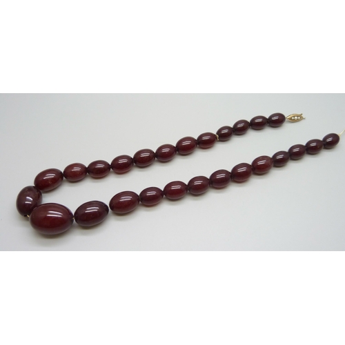 7149 - A sherry amber necklace with a 9ct gold clasp, 66g, requires re-stringing, largest bead 2.8 x 2cm