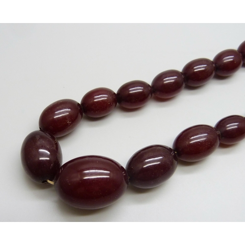 7149 - A sherry amber necklace with a 9ct gold clasp, 66g, requires re-stringing, largest bead 2.8 x 2cm