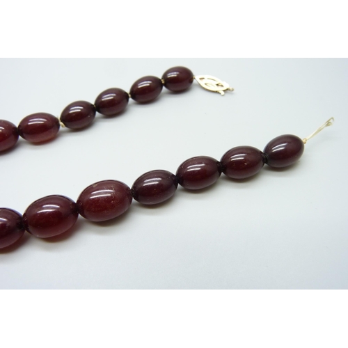 7149 - A sherry amber necklace with a 9ct gold clasp, 66g, requires re-stringing, largest bead 2.8 x 2cm