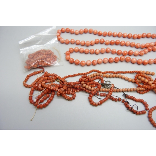 7155 - A long string of coral beads, 64g, together with loose coral beads and necklaces for repair, one wit... 