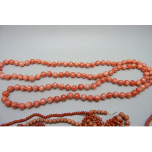 7155 - A long string of coral beads, 64g, together with loose coral beads and necklaces for repair, one wit... 