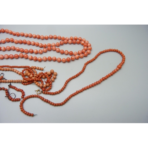 7155 - A long string of coral beads, 64g, together with loose coral beads and necklaces for repair, one wit... 