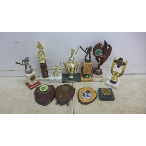 5048 - A collection of various sports trophies