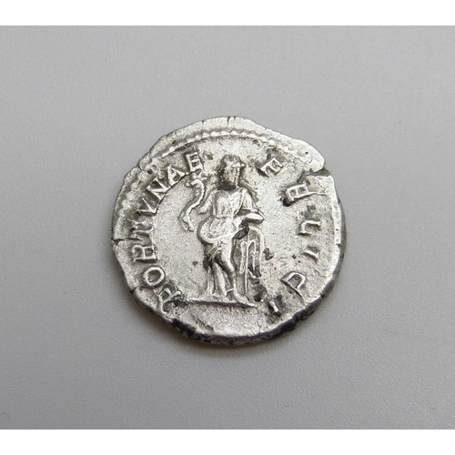 1075 - A Julia Domna 193-217 Denarius silver bust of Julia Domna draped, reverse Fortuna holding caduceus