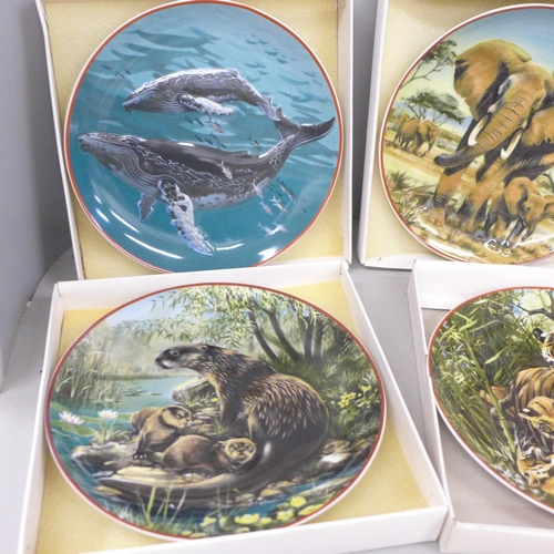 779 - Seven WWF World Wildlife Fund collectors plates, with certificates, including whale, elephants and o... 