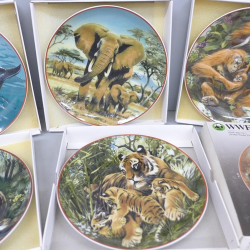 779 - Seven WWF World Wildlife Fund collectors plates, with certificates, including whale, elephants and o... 