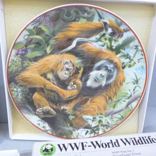 779 - Seven WWF World Wildlife Fund collectors plates, with certificates, including whale, elephants and o... 