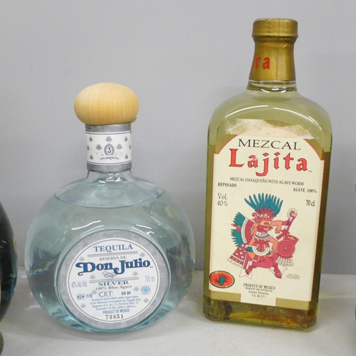 808 - Four bottles - Mezcak Lajita with an agave worm, Don Julio Tequila, Pisco Dry and Garnier PG Quadrup... 