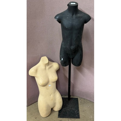 262 - Two half mannequins, one on stand