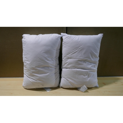 6045 - Two Hotel Grand Pillows Summer/Winter  (339-100) *This lot is subject to Vat