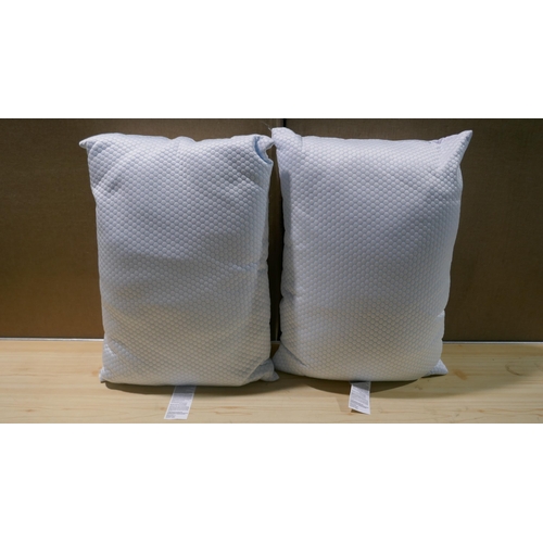 6045 - Two Hotel Grand Pillows Summer/Winter  (339-100) *This lot is subject to Vat