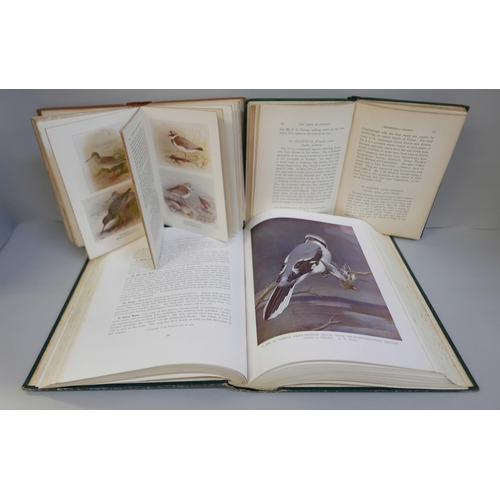 2243 - Three bird books, Birds of Rutland, Haines, pub. Porter 1907, British Birds, Kirkman and Jourdain, p... 
