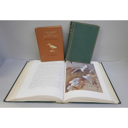 2243 - Three bird books, Birds of Rutland, Haines, pub. Porter 1907, British Birds, Kirkman and Jourdain, p... 