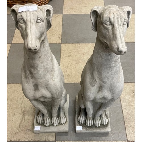 216 - A pair of concrete garden figures of seated greyhounds