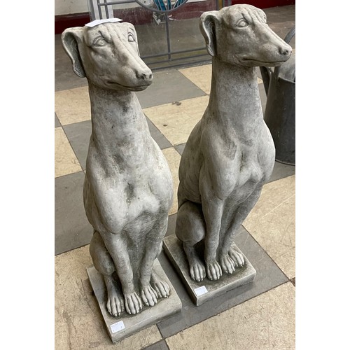 216 - A pair of concrete garden figures of seated greyhounds