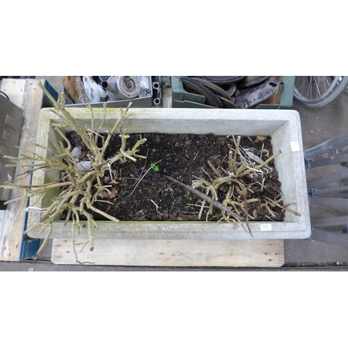 5140 - A large concrete trough planter - 100 x 49 x 44cm