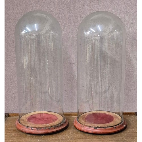 265 - A pair of Victorian glass domes on stands