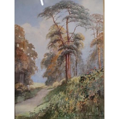 310 - Two A.H. Findley, Near Wanlip and Swithland Woods, watercolours, framed