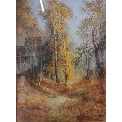 310 - Two A.H. Findley, Near Wanlip and Swithland Woods, watercolours, framed