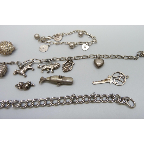 7128 - Three silver charm bracelets, together with loose charms A/F, 66.5g