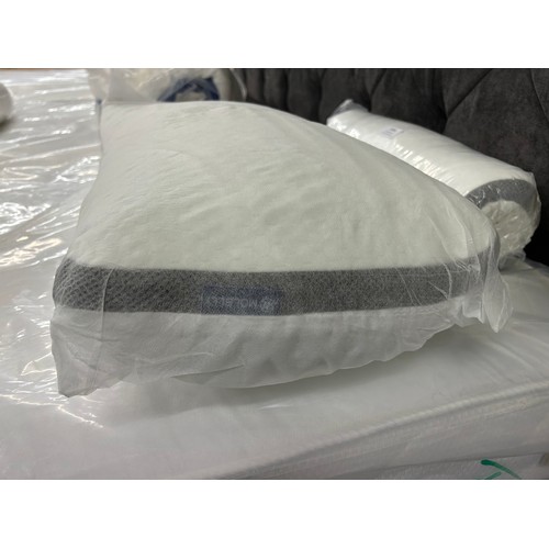 3166 - A pair of Memory Foam pillows