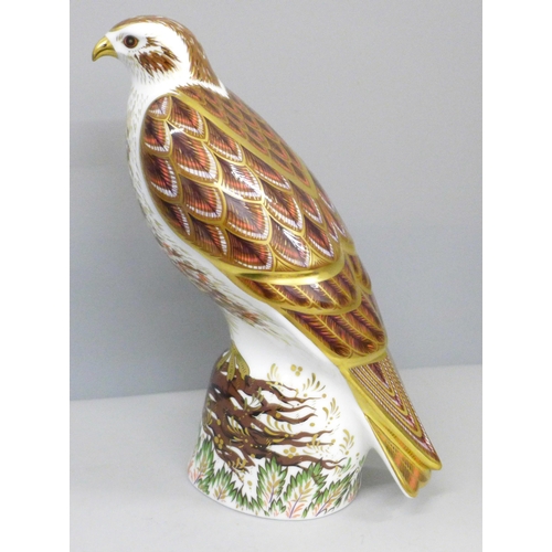 2003 - A Royal Crown Derby Buzzard with gold stopper, limited edition, 225 of 750, boxed