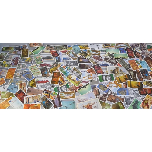 2127 - A box of cigarette cards and tea cards