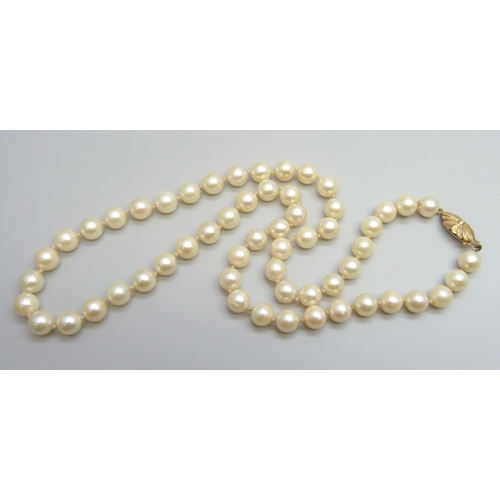 7017 - A string of cultured pearls with a 9ct gold clasp