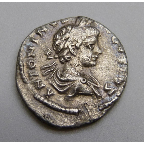 7239 - Coins; Caracalla silver Denarius (198-217AD) bust of Caracalla draped, reverse-FELICITAS AVG Felicit... 