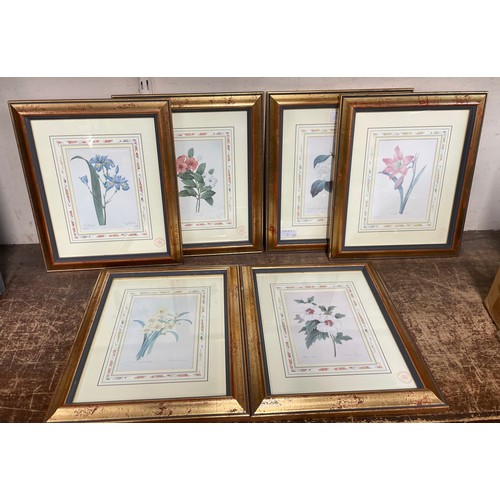 452 - Six Royal Mint Natural History Museum prints, framed, including Althea Frutex and Camellia Fleurs Bl... 