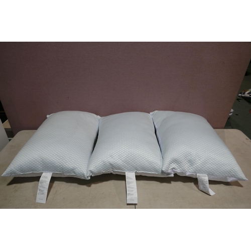 6341 - Three Hotel Grand Summer/Winter Pillows (341-27,278) *This lot is subject to Vat