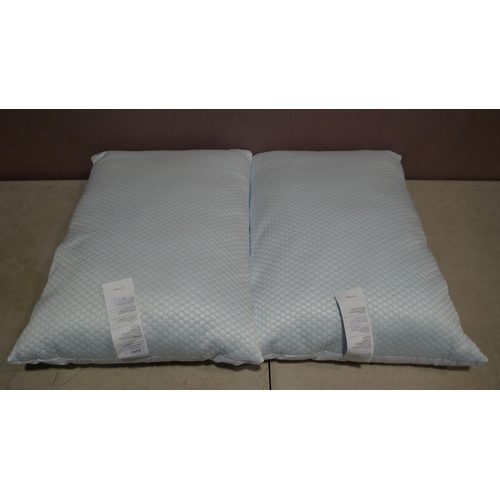 6343 - Two Hotel Grand Summer/Winter Pillows (341-122) *This lot is subject to Vat