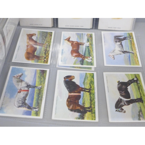 2030 - Two sets of cigarette cards, Player's cats and types of horses, catalogue value £220