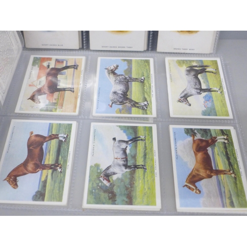 2030 - Two sets of cigarette cards, Player's cats and types of horses, catalogue value £220